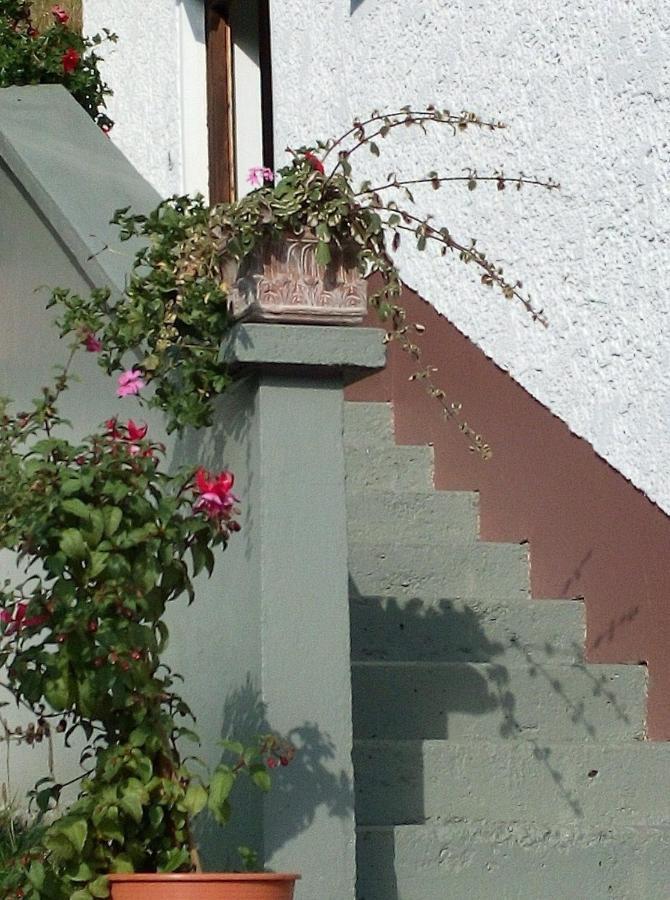 Ferienhaus Gassner Navis 외부 사진